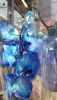 20190622_142204.thumb.jpg.b6bff69ebbae5a22bd284e91520a9e73.jpg