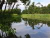 20190623_152855.thumb.jpg.c29da12ae9c756ab0eb3b557a5f166c2.jpg