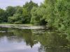 20190623_161958.thumb.jpg.e38ea1c2da2add5d884d19dbf52e8de4.jpg