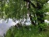 20190623_162100.thumb.jpg.61e09b6b019b0b4425ed1a320a9bb7d9.jpg