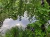 20190623_162138.thumb.jpg.99149f42f1e640cfdc4e2264fa49ccc9.jpg