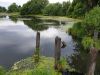 20190623_162837.thumb.jpg.39c3b52d18775121cc3f30ca9ecab8bb.jpg
