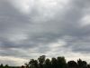 20190623_163720.thumb.jpg.cb17ffbd43cbf169bdbb4b1ee6544c79.jpg