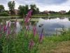 20190623_164540.thumb.jpg.a13ccf0f92467c0ead8d0993f5c6d180.jpg