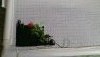 20190626_143818.jpg