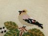 20190627_103301.thumb.jpg.b7e06bbc709645526fc2128ff8a19999.jpg