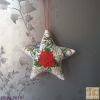 2125703986_FabyReillyDesigns_PoinsettiaStar.thumb.jpg.3e07fa6596586936f9e48e3dd524026c.jpg