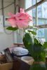 480476517_2.thumb.JPG.fb94536da6ea2a3d65c8ea65ad4a8990.JPG