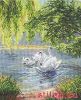 5806.thumb.jpg.ad577dd43dce111ae20f2c2936318edf.jpg
