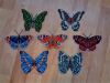 Butterflies.thumb.JPG.77ad81dae1e6da5e182062863d327b32.JPG