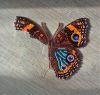 Butterfly10-3.thumb.JPG.505bb1915df2f634ad7b1a7f8a6d7a71.JPG
