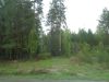 DSC05530.thumb.JPG.cbbc2f96b566046f4039ba1ce84f6c8d.JPG