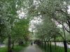 DSC05540.thumb.JPG.4380135555639f34a8e408d5abdbaeb0.JPG