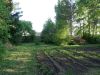 DSC05561.thumb.JPG.5139ca7b91c89a32aedd26e4aebbc465.JPG