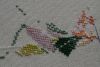 DSC05992.thumb.JPG.3c0ad6e40a267e1cb7a53e3db08fe4d2.JPG
