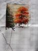 DSC06355.thumb.jpg.9ed8f4576493caf0812b14f47dd01e17.jpg