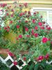 DSCN2111.thumb.JPG.4c45f92a9f6f5fb02341550221f53179.JPG