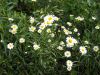 DSCN2156.thumb.JPG.c15a9db7a0ad3aefdb73d97757170375.JPG