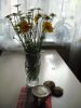 DSCN2161.thumb.JPG.bb141efb7decaf871ecdb97b568ee50d.JPG