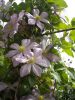 DSCN2245.thumb.JPG.4918e6633533c3d906656db1a3cffa8d.JPG