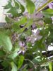 DSCN2246.thumb.JPG.564493420777b20589c7e51e804a3fe4.JPG