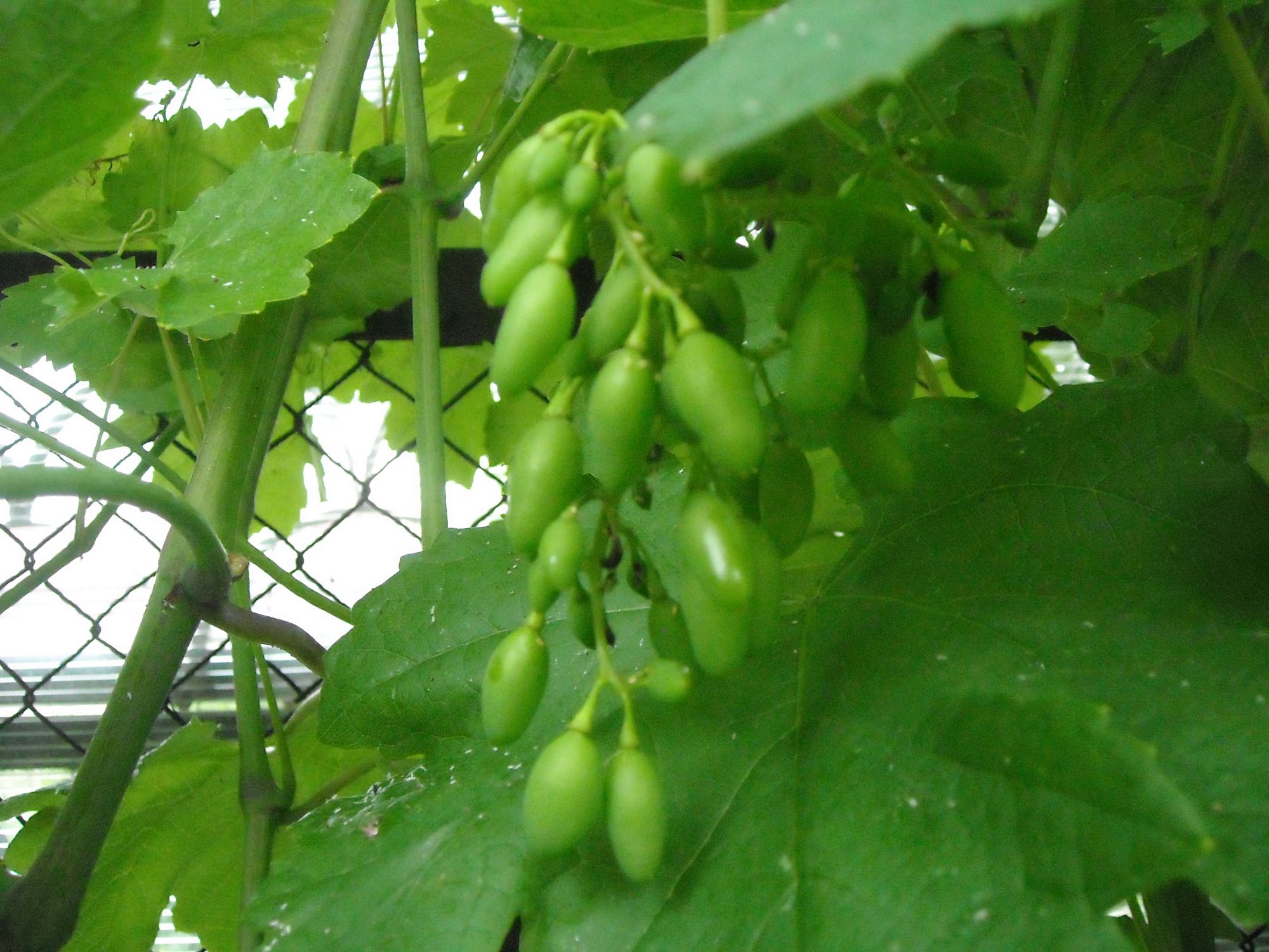 DSCN2279.JPG
