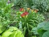 DSCN2281.thumb.JPG.5f19d7ef78cd7827bc83a1f7dba4c568.JPG
