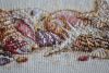 DSC_0469.thumb.JPG.fe93b1ac7f86b7fa84971aa141fa99a4.JPG
