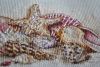 DSC_0470.thumb.JPG.90605d2ae1750ae877bf1c17522cea6e.JPG