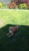 DSC_1092.thumb.JPG.ddb4bff4bf7b6f7800c7d31667157527.JPG