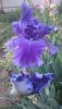 DSC_1122.thumb.JPG.b431b942617feba409db4856e199a5df.JPG
