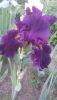 DSC_1136.thumb.JPG.2bdc76dbf48280092792a9bcbd801410.JPG