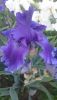 DSC_1138.thumb.JPG.abb656aa9b4e47d9971c286dc1cb736e.JPG