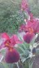 DSC_1140.thumb.JPG.c43a5d0f2a7825c27202b6a5b600aa2a.JPG