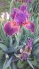 DSC_1142.thumb.JPG.88388533f989d3d6af04253095d81fc2.JPG