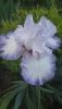 DSC_1146.thumb.JPG.388f6ab0eb56bb838c0a115104a80368.JPG