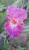 DSC_1153.thumb.JPG.3ded3013248e22c385320df5715d92d0.JPG