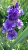 DSC_1182.thumb.JPG.b978c790fff32feebd5f9f4830ae0b83.JPG