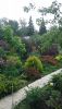DSC_1193.thumb.JPG.fb97fd5ad592532bc075dac215800b4b.JPG