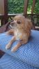 DSC_1248.thumb.JPG.dd946cb0968c439766391939a756fb6d.JPG