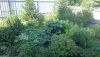DSC_1259.thumb.JPG.43617180fc38f89300e2579bbbaa72a1.JPG