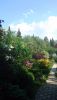 DSC_1262.thumb.JPG.39550ddedc4582b4fa099937772f3301.JPG