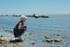 IMG-20190602-WA0018.thumb.jpg.e56e20b70aa9ccddf00c89111e20bdb6.jpg