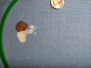 IMG_20190504_142340.thumb.jpg.64b67e38e10232dd279ea7b466d4e265.jpg