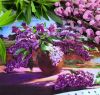 IMG_20190529_101901_605.thumb.jpg.c67cb783c2e49ac40ace209df8fded9f.jpg