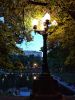 IMG_20190531_212732_HHT.thumb.jpg.dab028ab3a995cfe891baecaac68ecd9.jpg