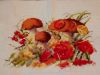 IMG_20190601_184456.jpg