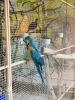 IMG_20190602_123650.thumb.jpg.e6932a52078c5fda8fa8d405fba16f3d.jpg