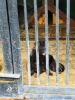 IMG_20190602_124405.thumb.jpg.b1698bd996c123fad717b66e30a5d40d.jpg