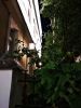 IMG_20190603_225147_HHT.thumb.jpg.c3dec391b3c882ecfae6384561a41463.jpg